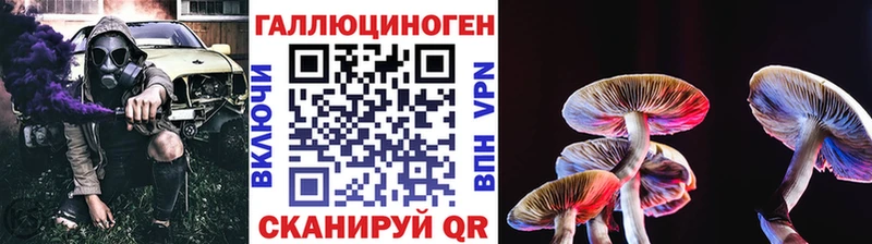 Галлюциногенные грибы Psilocybe  цена наркотик  Амурск 